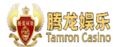腾龙科技 Logo